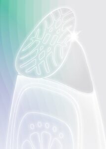 Galvanic Face Spa System III - Face Care 2