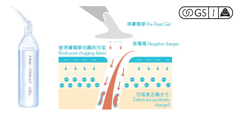 Galvanic Face Spa System III - Face Care 4