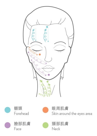 Galvanic Face Spa System III - Face Care 6